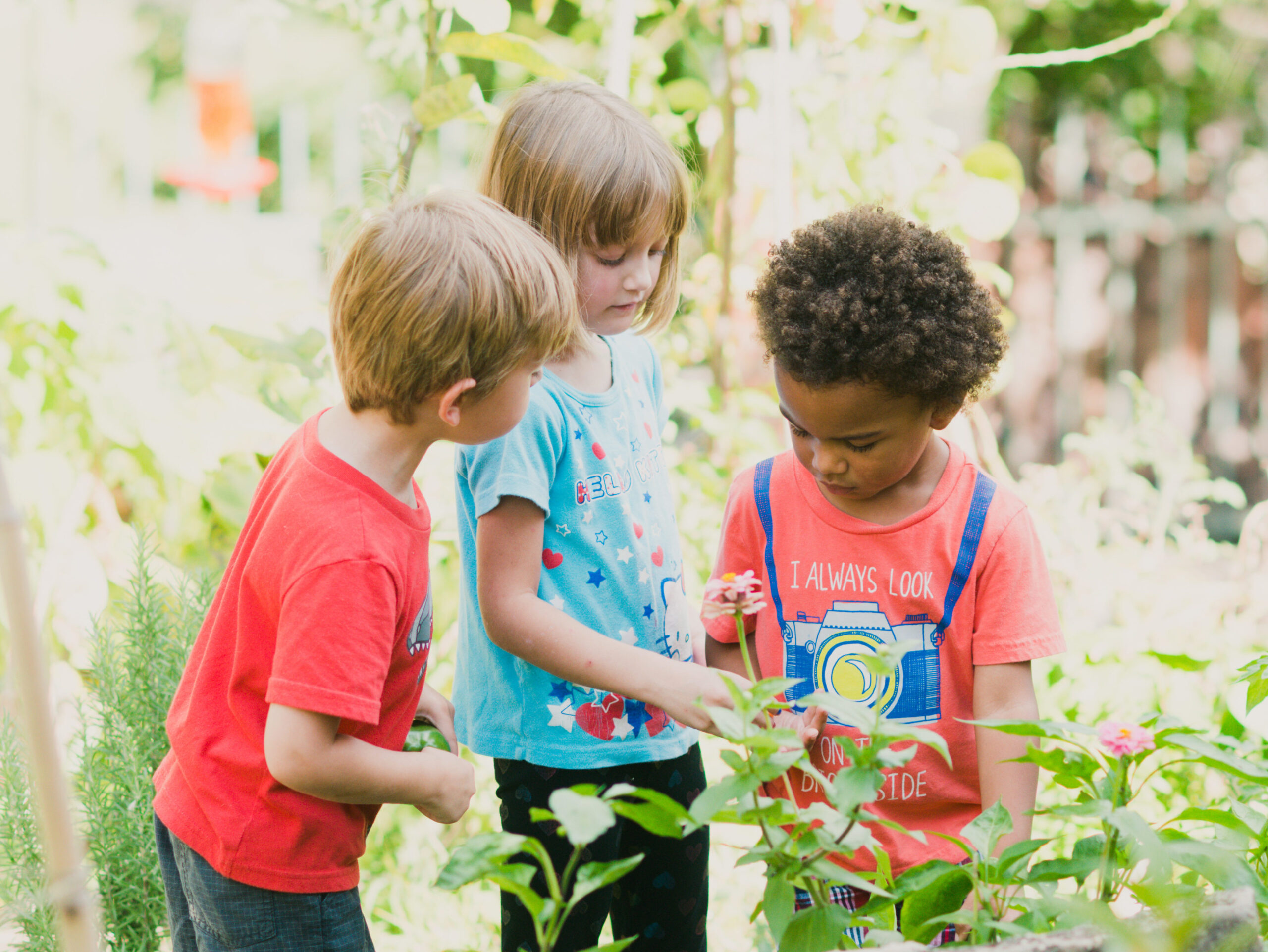 Using Your Outdoor Classroom