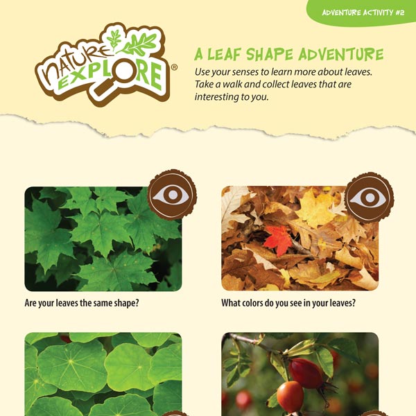 Families Club Kit Sample Activity